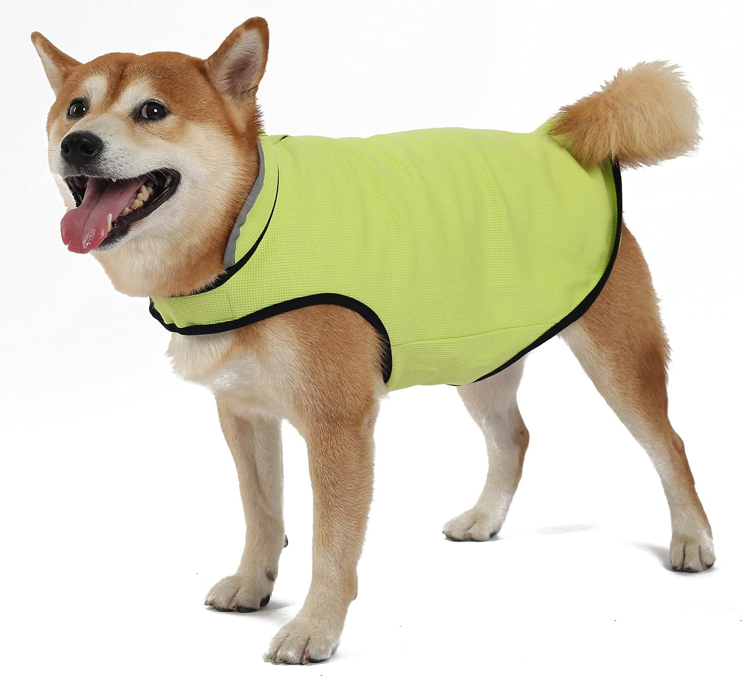 WEONE Dog Anxiety Jacket,Calming Solution Coat for Fireworks,Thunder,Travel,Separation for Small Medium Large Breeds,Xxl Green Animals & Pet Supplies > Pet Supplies > Dog Supplies > Dog Apparel WEONE   