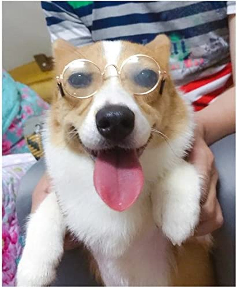 Stock Show Funny Cute Dog Cat Retro Fashion Sunglasses Mosaic Glasses Transparent Eye-Wear Protection Puppy Cat Teacher Bachelor Cosplay Glasses Pet Photos Props for Small Dog Cat, Golden Animals & Pet Supplies > Pet Supplies > Dog Supplies > Dog Apparel Stock Show   