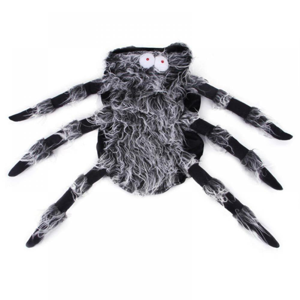 Black dog outlet in spider costume