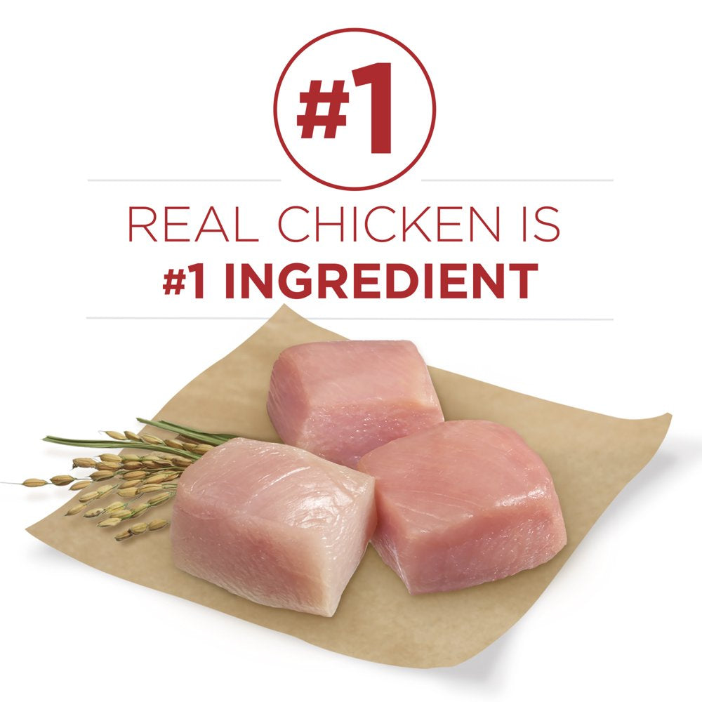 Purina ONE Natural Dry Dog Food, Smartblend Chicken & Rice Formula, 4 Lb. Bag Animals & Pet Supplies > Pet Supplies > Small Animal Supplies > Small Animal Food Nestlé Purina PetCare Company   