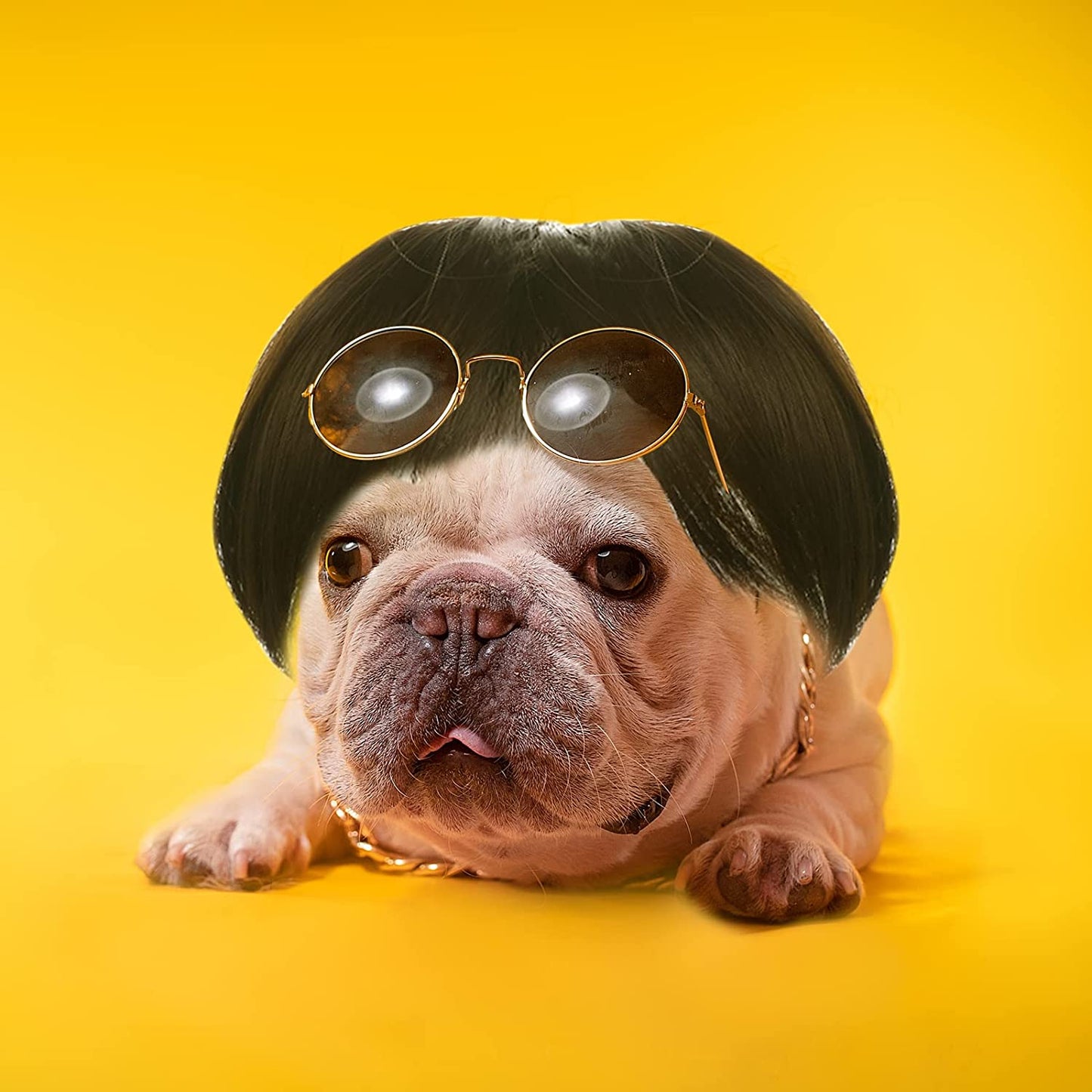 Dog Wig Dog Costume, Funny Dog Cat Cosplay Wig, Dog Costumes Wig for Small Medium and Large Dogs, Hair Wig Dog Dress Up, Dogs Pet Decorations Animals & Pet Supplies > Pet Supplies > Dog Supplies > Dog Apparel Vin Beauty   