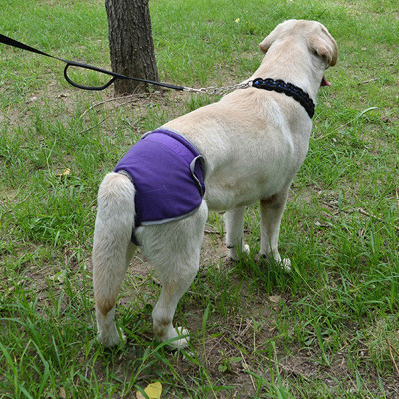 Dog Diapers Female Washable Female Dog Diapers Reusable Belly Band for Female Dogs, Strong Water Absorption and No Leakage Female Dog Wraps, Comfortable and Durable Adjustable Diapers,Purple,Xs Animals & Pet Supplies > Pet Supplies > Dog Supplies > Dog Diaper Pads & Liners JANDEL   