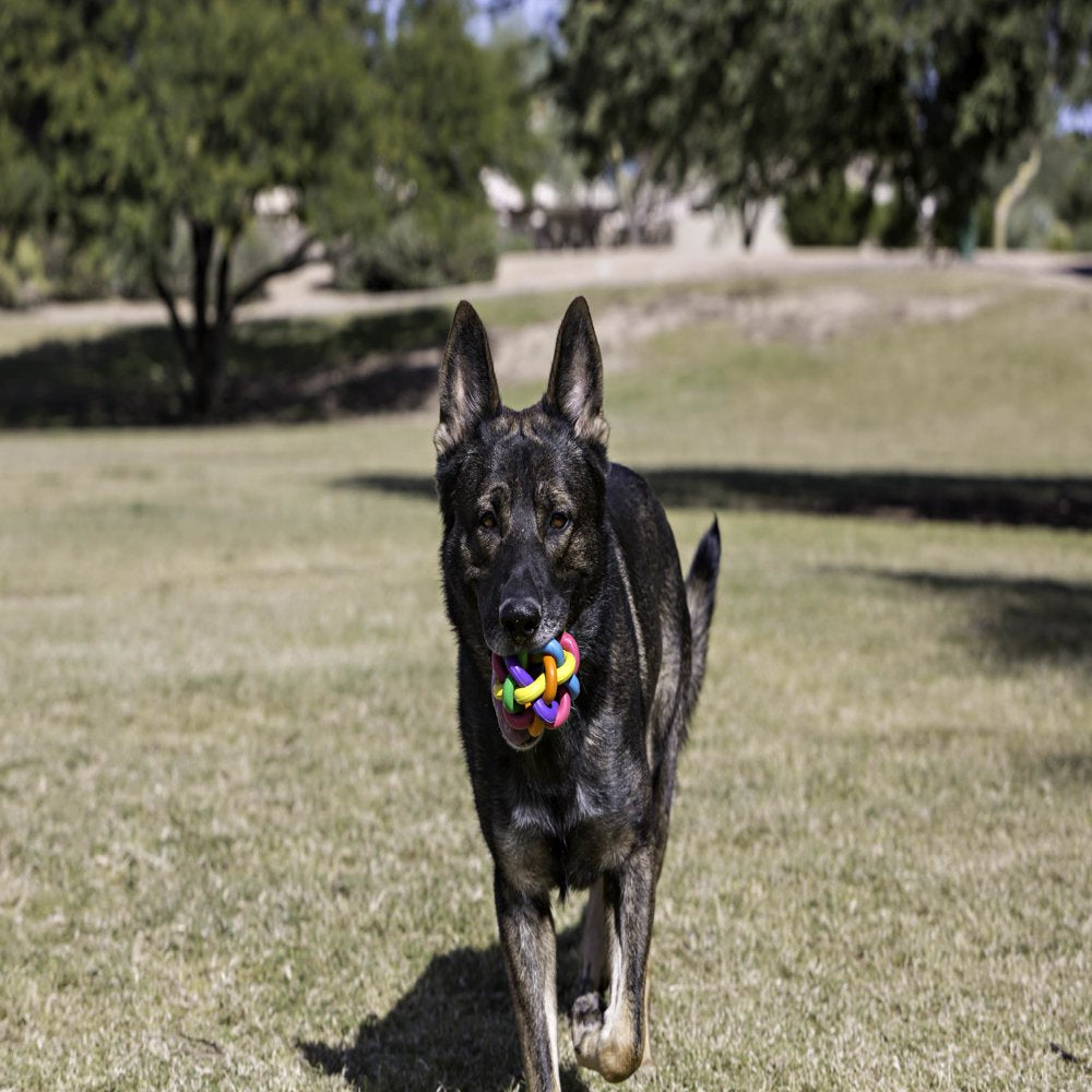 Multipet Nobbly Wobbly Interwoven Floating Ball Rubber Dog Fetch Toy, 4" Animals & Pet Supplies > Pet Supplies > Dog Supplies > Dog Toys Multipet International   