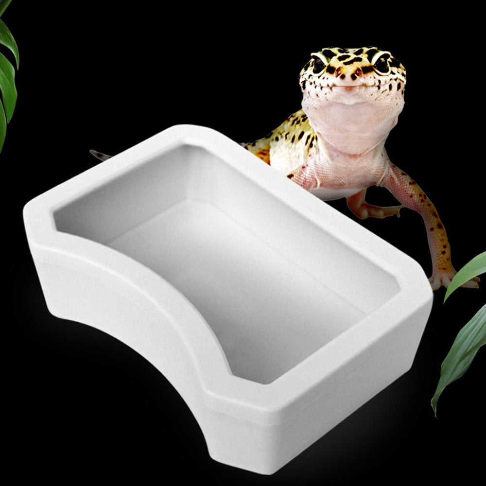Reptile Water Dish Food Bowl for Pet Gecko Spider Scorpion Chameleon Reptiles Amphibians Terrarium Habitat 3 Sizes