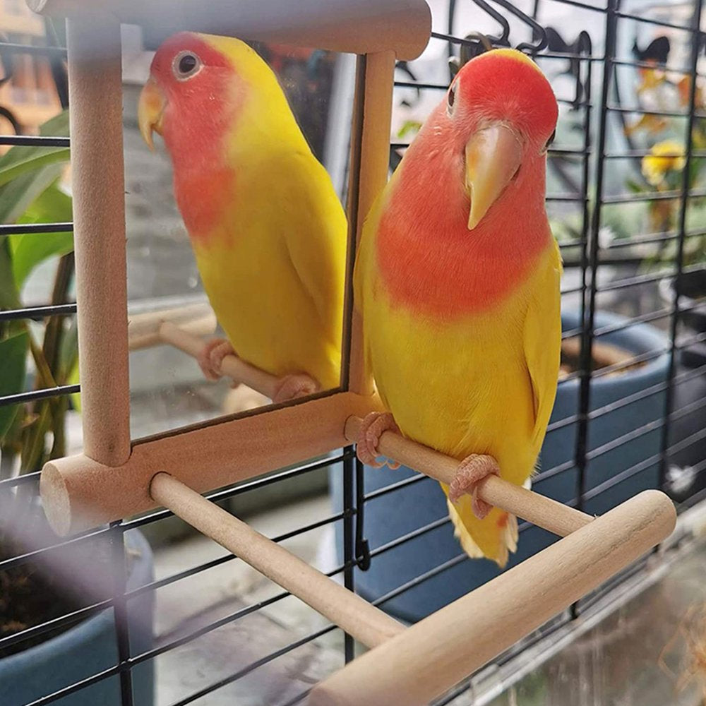 Toorise Bird Mirror Wooden Bird Swing Parrot Cage Toys Swing Hanging Play with Mirror Parrot Perch Stand Interactive Fun Play Toy for Birds African Greys Parakeet Cockatoo Cockatiel Lovebirds Animals & Pet Supplies > Pet Supplies > Bird Supplies > Bird Toys Toorise   