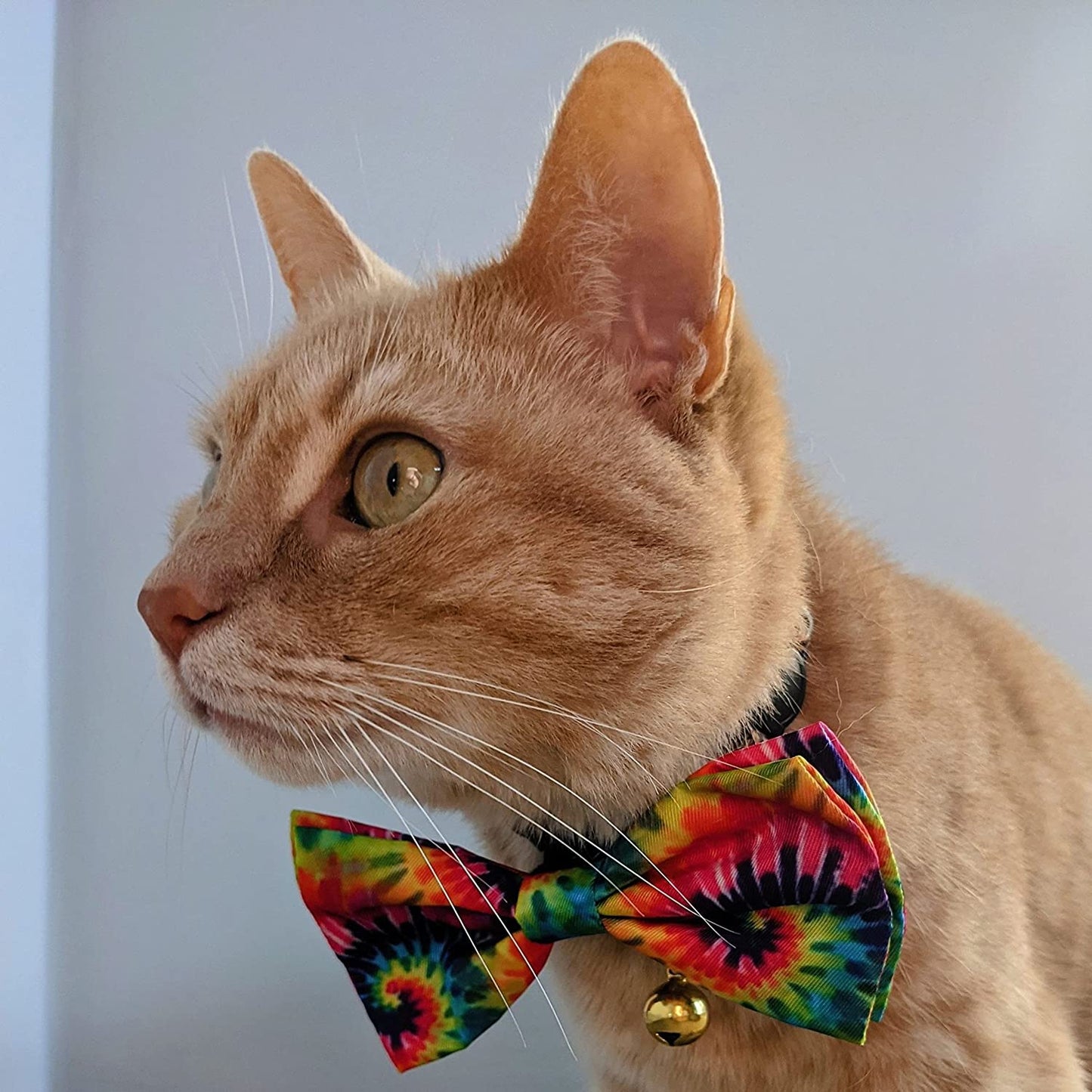 H&K Bow Tie for Pets | Woodstock (Large) | Velcro Bow Tie Collar Attachment | Fun Bow Ties for Dogs & Cats | Cute, Comfortable, and Durable | Huxley & Kent Bow Tie Animals & Pet Supplies > Pet Supplies > Dog Supplies > Dog Apparel Huxley & Kent   