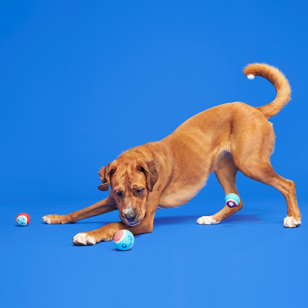 BARK Fetch of July - 3 Yankee Doodle Dog Tennis Ball Toys, Includes Squeakers, All Dog Sizes Animals & Pet Supplies > Pet Supplies > Dog Supplies > Dog Toys BARK   