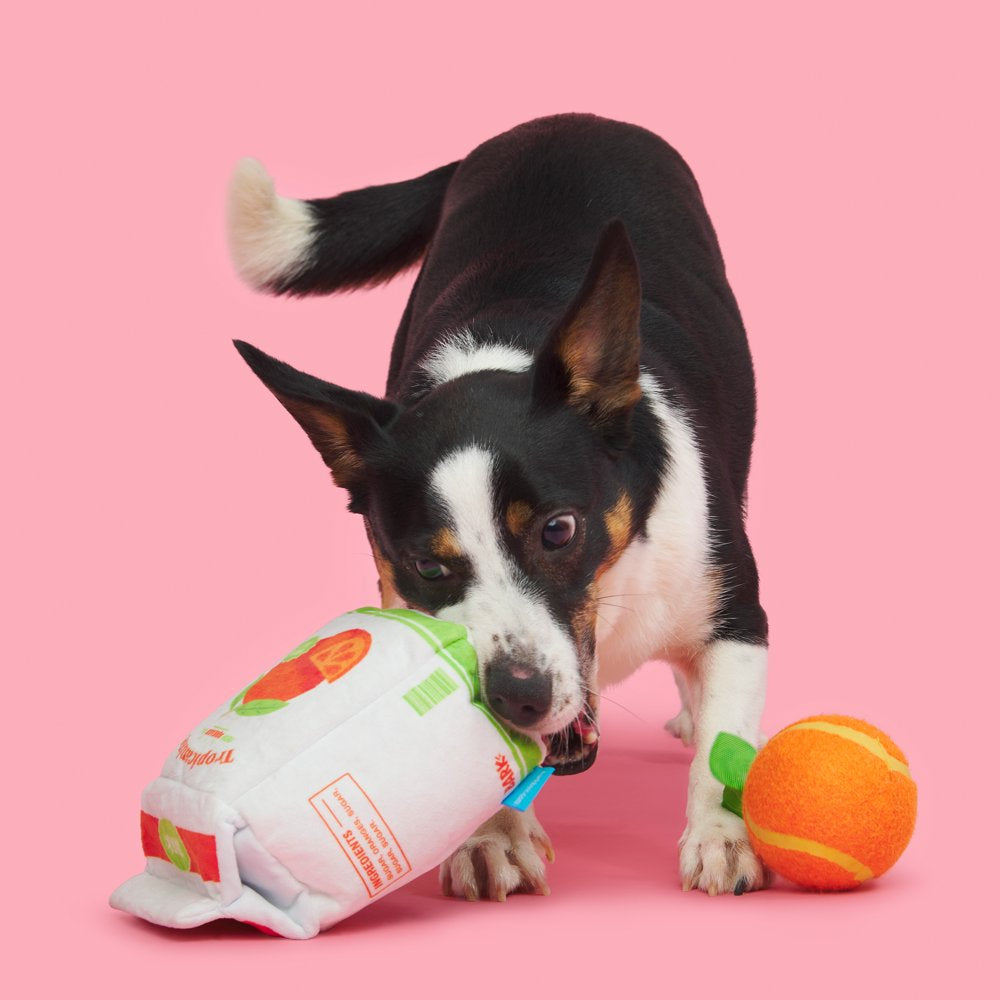 BARK Barkfest in Bed Orange Tennis Ball, Two Toys in One, Dog Toy Animals & Pet Supplies > Pet Supplies > Dog Supplies > Dog Toys BARK   