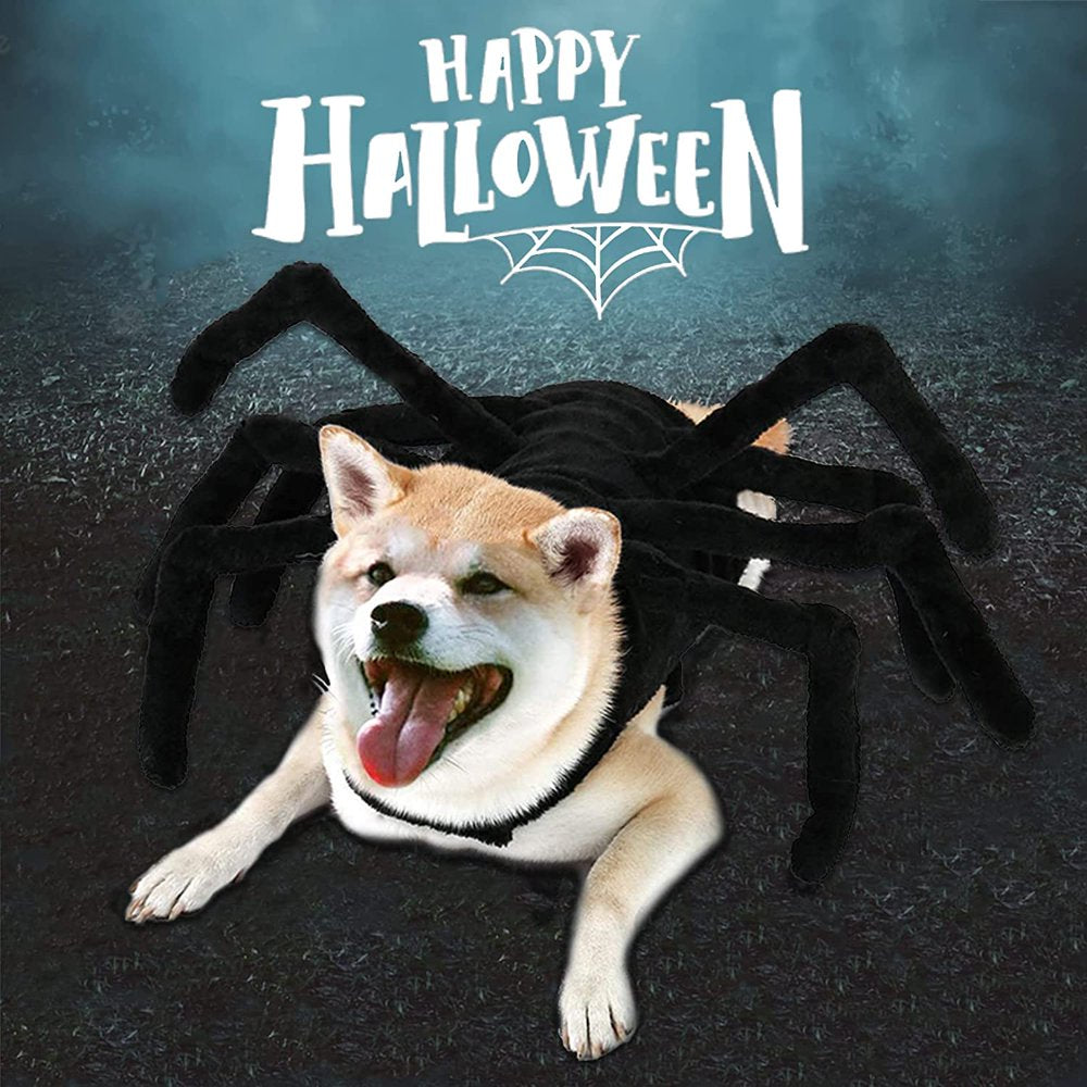 Dog Halloween Costumes- Dogs Cats Spider Costume for Halloween Party, Pets Spider Cosplay Costumes Dress up Apparel Accessories for Medium Small Dogs Cats Puppy, Size S/M/L/XL/XXL Animals & Pet Supplies > Pet Supplies > Cat Supplies > Cat Apparel Petmoko   