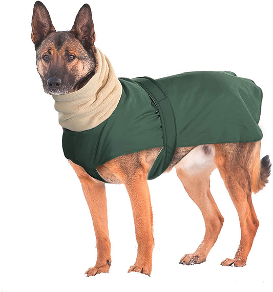 Didog Waterproof Dog Winter Jacket with Turtleneck Scarf, Pets Cold Weather Coats with Soft Warm Fleece Lining,Windproof Snowsuit Outdoor Apparel for Medium Large Dogs,Green Animals & Pet Supplies > Pet Supplies > Dog Supplies > Dog Apparel Didog Green Chest:24-31" Back Length:25" 