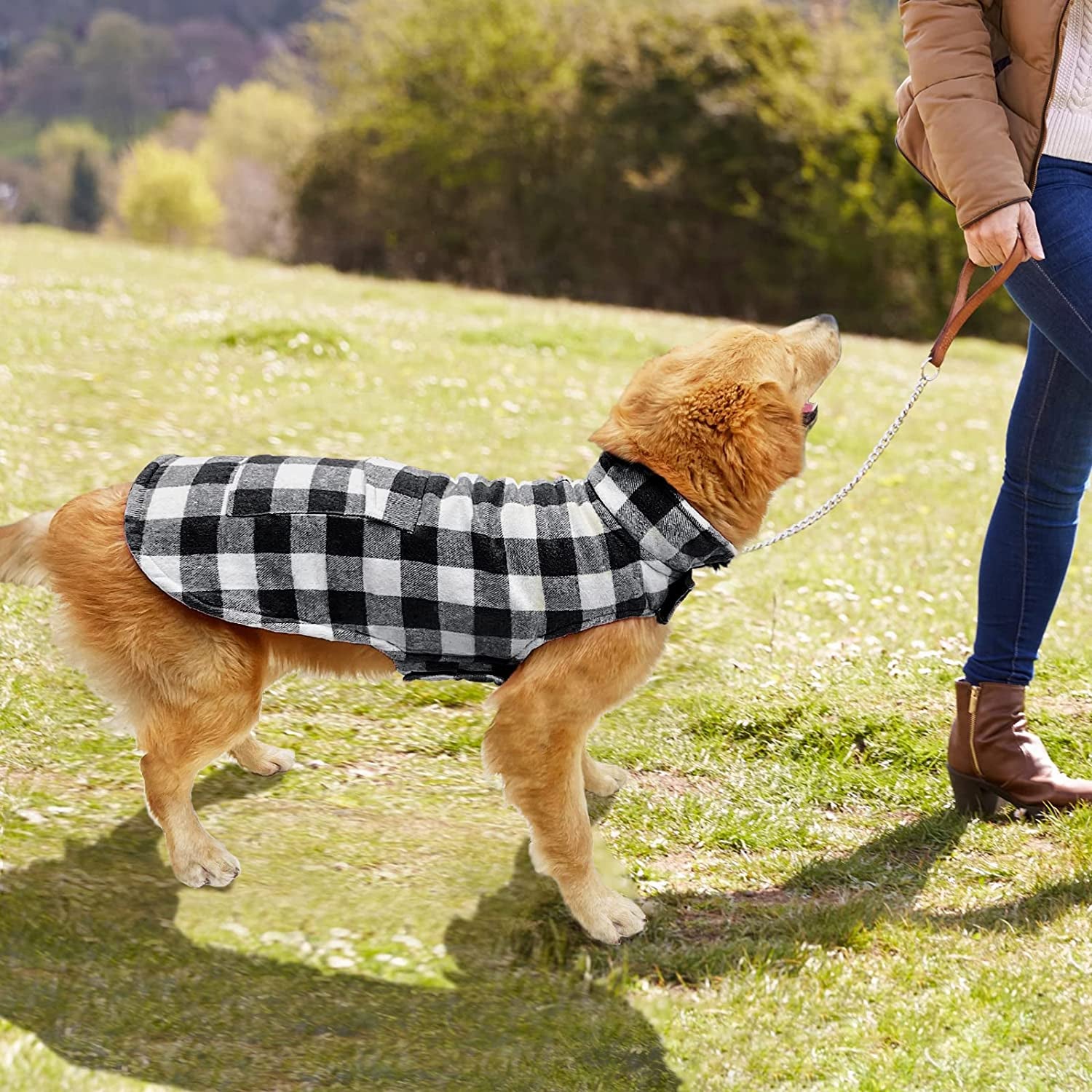 Malier Dog Winter Coat, Classic Plaid Fleece Dog Cold Weather Coats Dog Jacket with Pocket, Windprood Warm Dog Coat Vest Winter Pet Clothes Apparel for Small Medium Large Dogs (White, Small) Animals & Pet Supplies > Pet Supplies > Dog Supplies > Dog Apparel Malier   