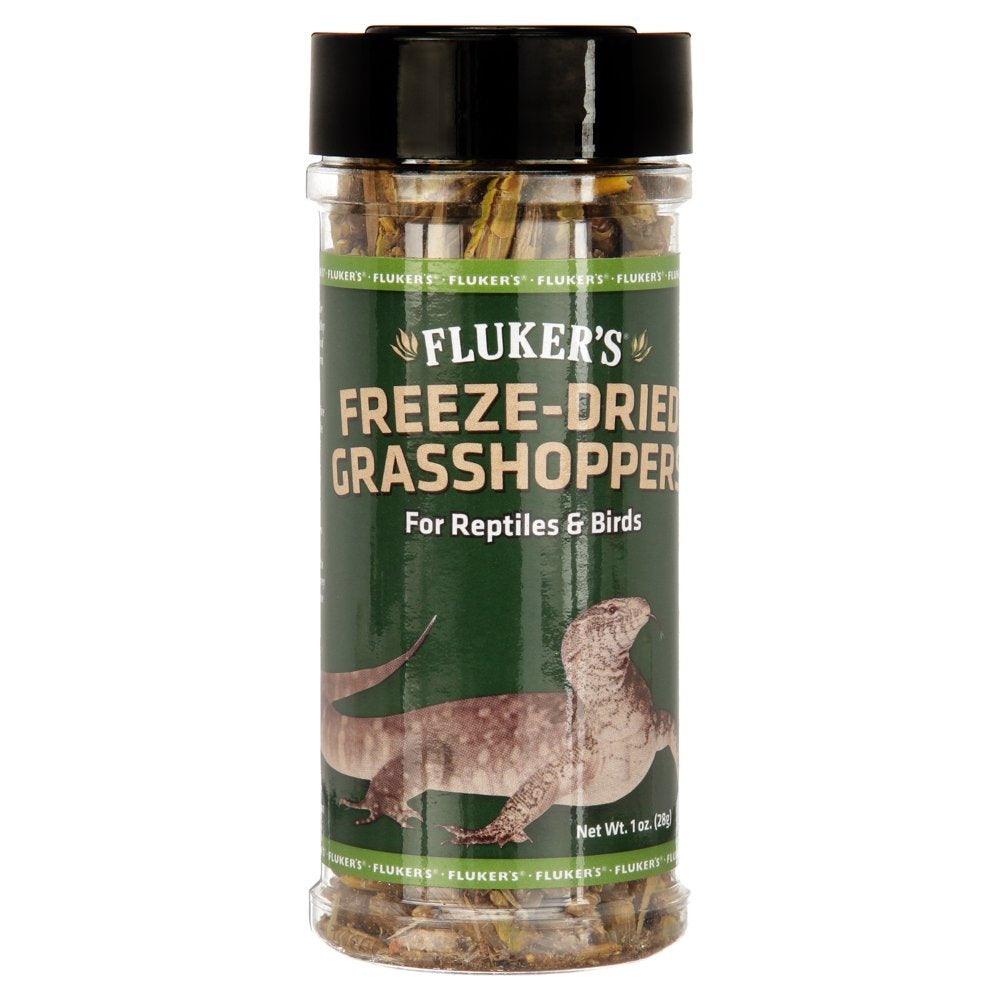 Fluker'S Freeze-Dried Grasshoppers Reptile Turtle Snake Lizard Food, 1 Oz Animals & Pet Supplies > Pet Supplies > Reptile & Amphibian Supplies > Reptile & Amphibian Food Fluker's   