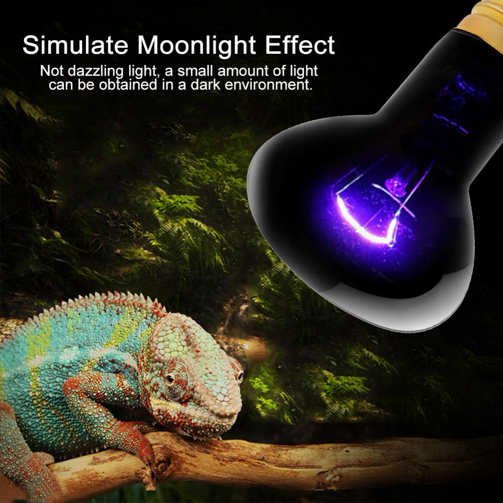 Mgaxyff 25/50/60/75/100W UVA Day Night Amphibian Snake Lamp Heat Reptile Bulb Light  Mgaxyff   