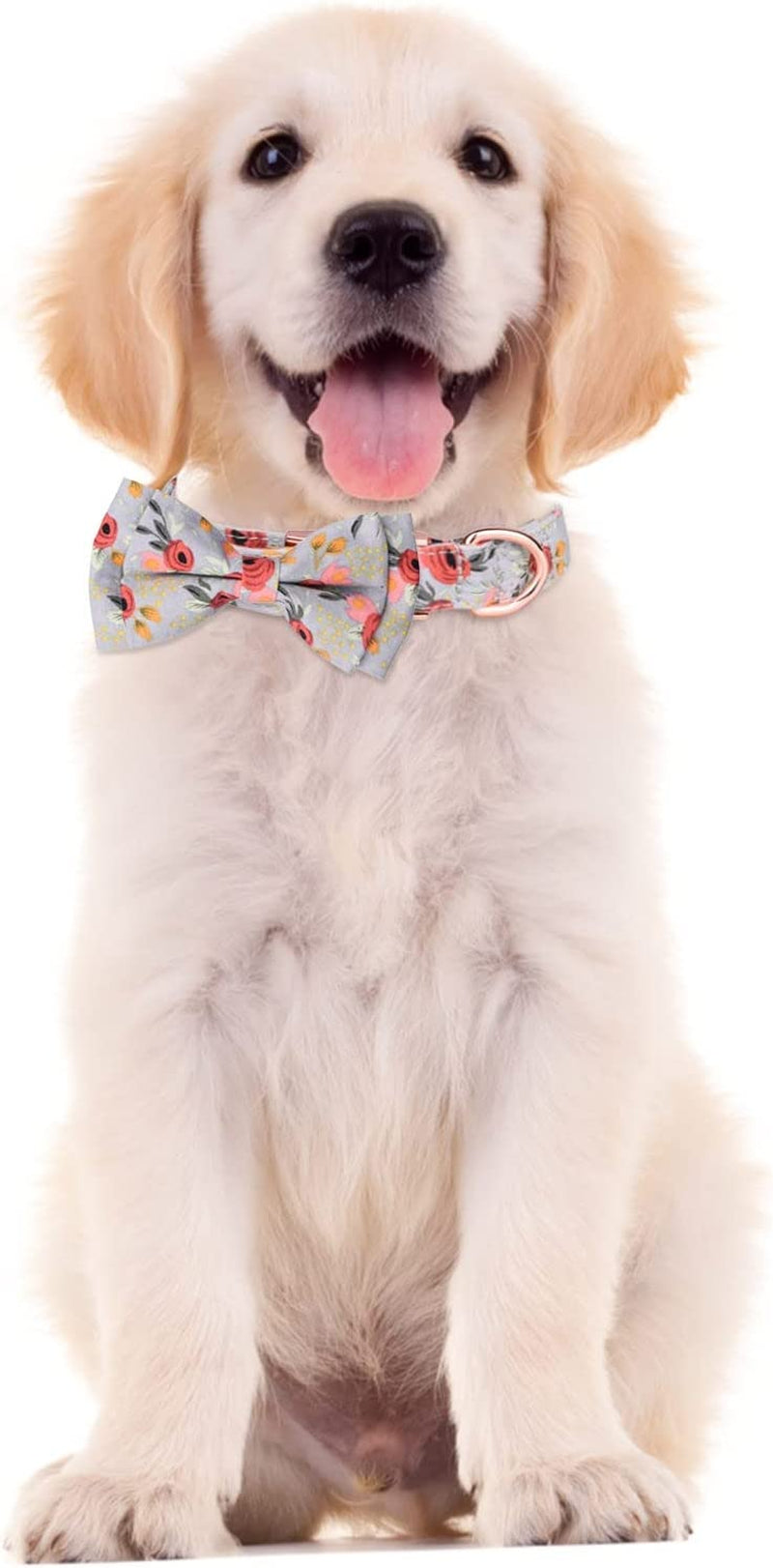 Extra Small Dog Collar with Bow Tie Male Personalized Cotton Girls Dog Collar with Metal Buckle Puppy Collars for 3 Adjustable Sizes Small Medium Large Dog Pet Gift Animals & Pet Supplies > Pet Supplies > Dog Supplies > Dog Apparel HonpraD   