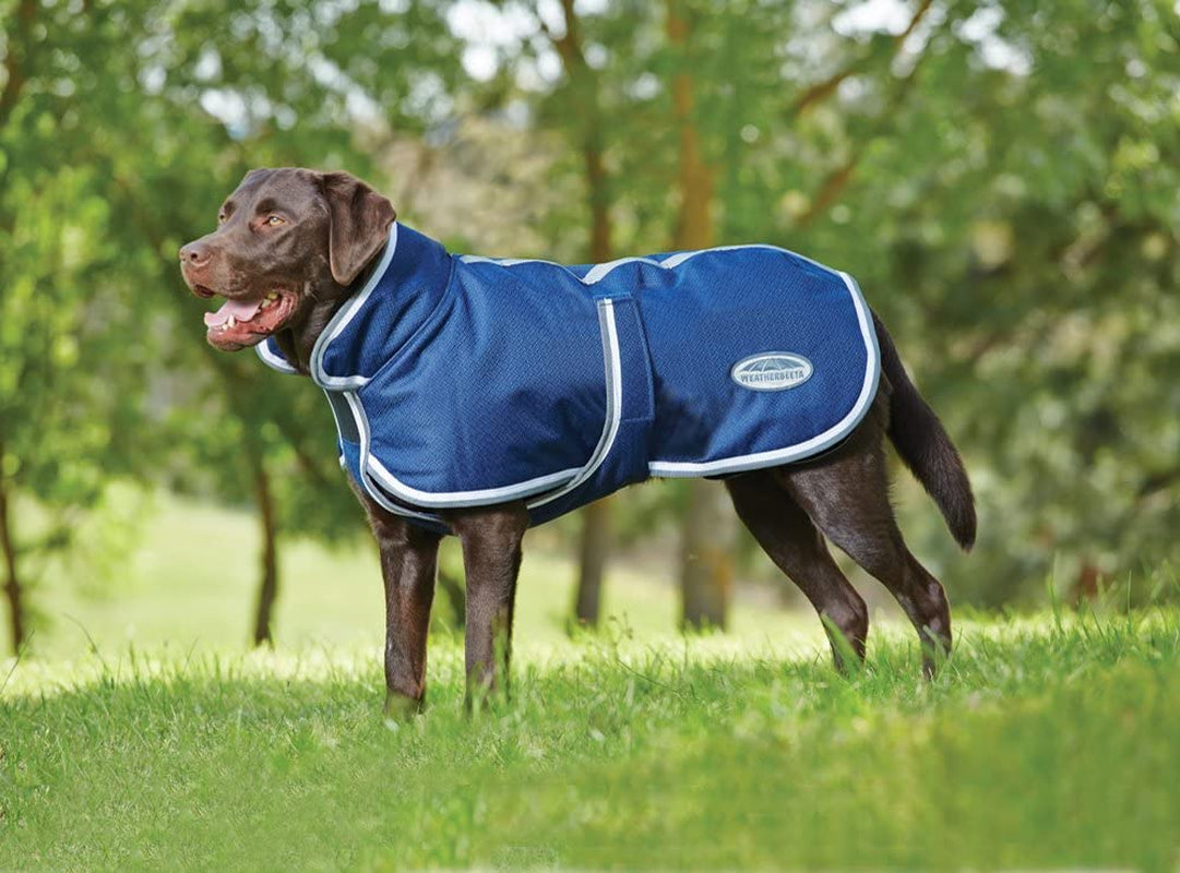 Weatherbeeta Comfitec Parka 1200D Deluxe Dog Coat - Navy/Grey/White - 12" Animals & Pet Supplies > Pet Supplies > Dog Supplies > Dog Apparel Weatherbeeta USA Inc. Navy (Grey/White Trim) 22" 