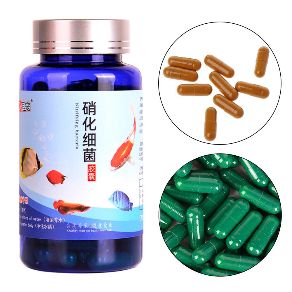 HGYCPP 20/30/50/80/100 Pcs Aquarium Nitrifying Bacteria Concentrated Capsule Fish Tank Pond Cleaning Fresh Water Supplies