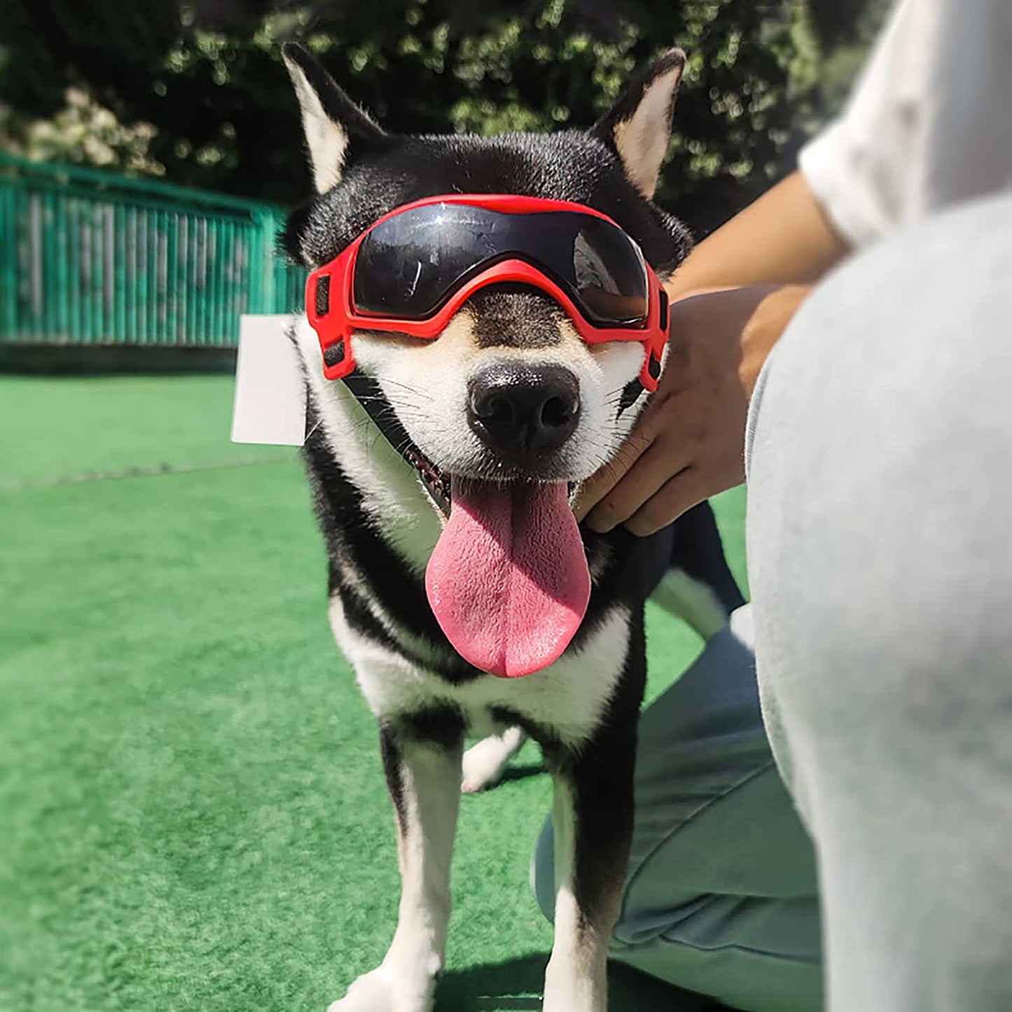 HGKL Dog Sunglasses, for Medium Large Breed Dog Goggles, Soft Frame Eye Protection with Adjustable Straps, UV Protection Wind Protection Fog Protection Red Animals & Pet Supplies > Pet Supplies > Dog Supplies > Dog Apparel HGKL0000833   