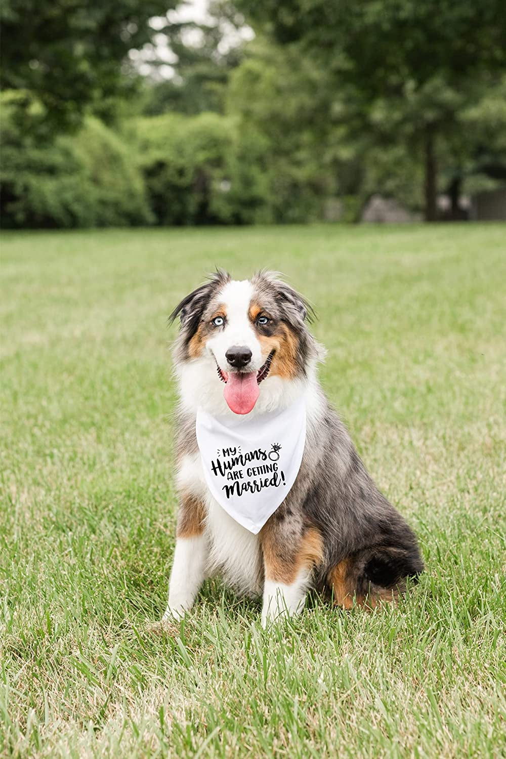 My Humans Are Getting Married Dog Bandana, Wedding Dog Bandana, Dog Engagement Announcement, Wedding Photo Prop, Pet Scarf, Pet Accessories Animals & Pet Supplies > Pet Supplies > Dog Supplies > Dog Apparel Moonwake Designs Co   