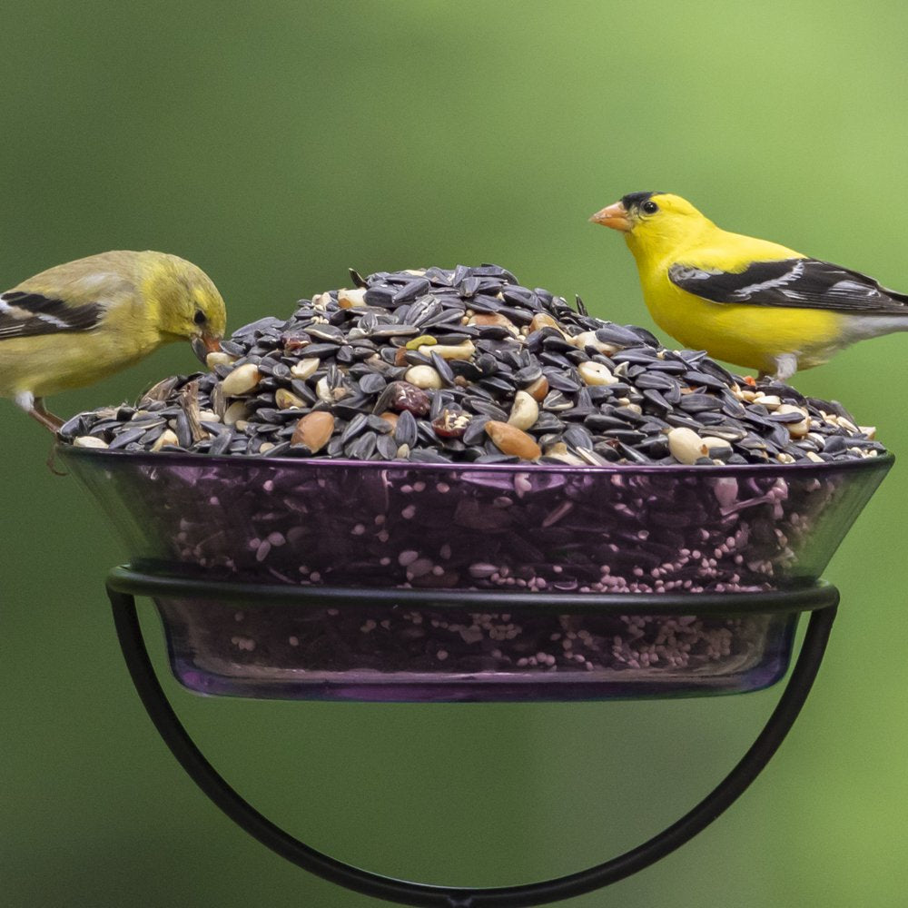 Audubon Park Songbird Blend Wild Bird Food, Bird Food for Outside Feeders,  14-Pound Bag