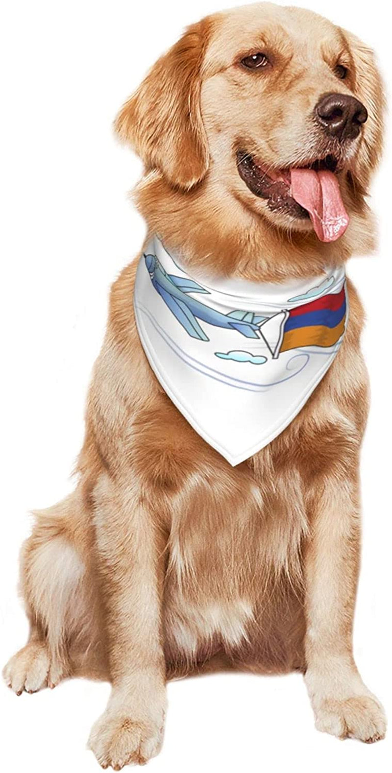 Airplane with Armenian Flag Pet Dog and Cat Decorative Triangle Scarf,Dog Bandana,Breathable and Stain Resistant. Animals & Pet Supplies > Pet Supplies > Dog Supplies > Dog Apparel ZALTAS   