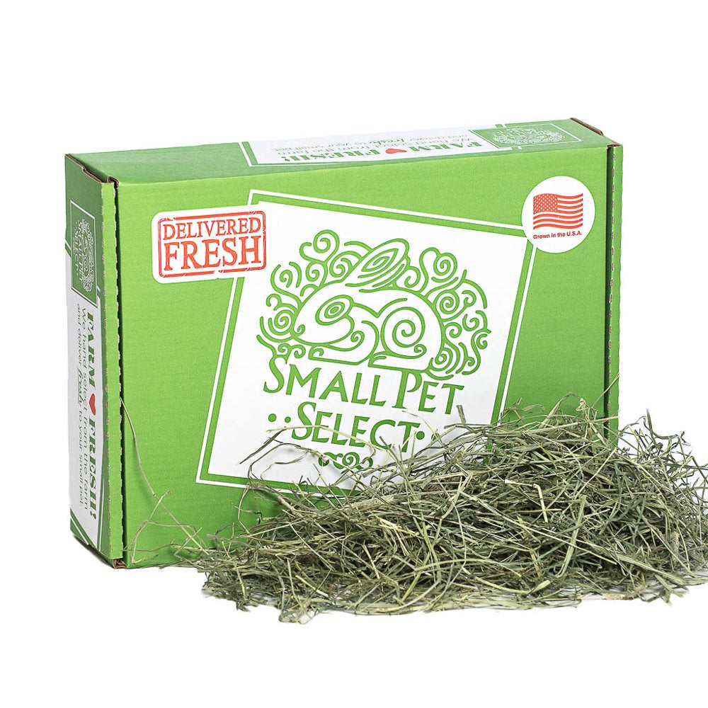 Small Pet Select 2Nd Cutting Timothy Hay Pet Food, 25-Pound Animals & Pet Supplies > Pet Supplies > Small Animal Supplies > Small Animal Food Small Pet Select   