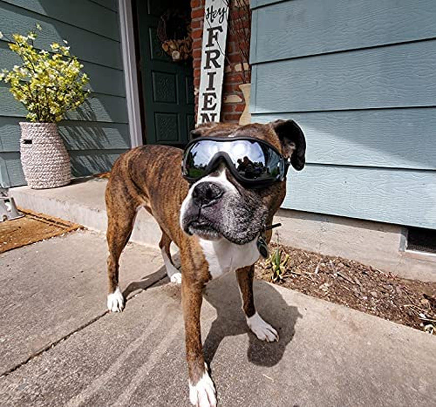 CHROM Dog Goggles - Large Dog Eye Protection Doggles Windproof Sunglasses for Medium Large Dog (Black-Silver) Animals & Pet Supplies > Pet Supplies > Dog Supplies > Dog Apparel CHROM   