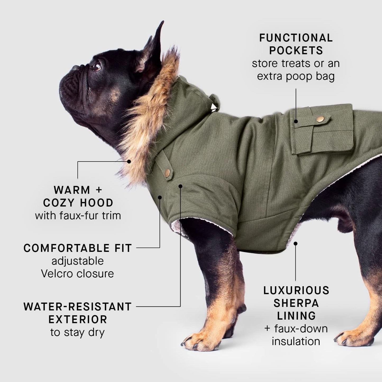 Canada Pooch Winter Dog Coat Water-Resistant Insulated Dog Jacket Faux-Fur Trim Dog Parka Coat for Dogs - Army Green, Size 12 Animals & Pet Supplies > Pet Supplies > Dog Supplies > Dog Apparel Canada Pooch   