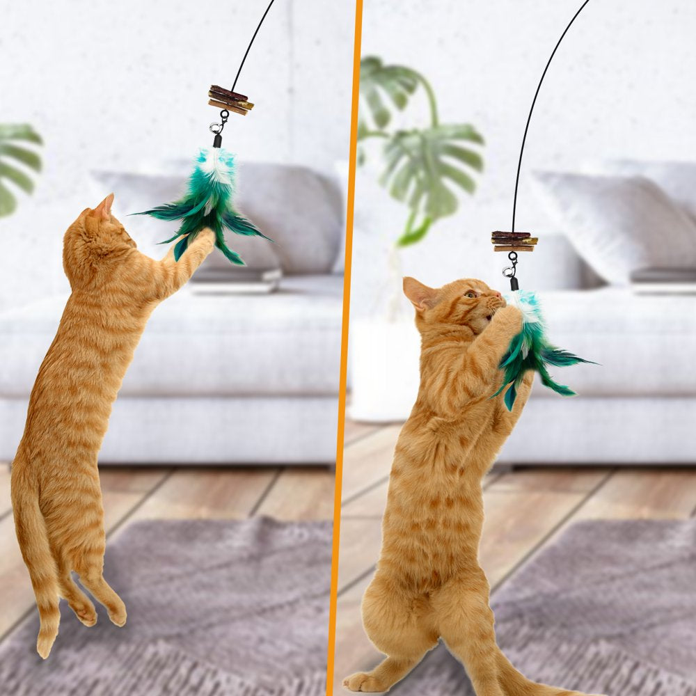 Lepawit Cat Wand Teaser Toy with Feather Replacements Interactive Cat Toys for Indoor Cats & Kitten Animals & Pet Supplies > Pet Supplies > Cat Supplies > Cat Toys Lepawit   