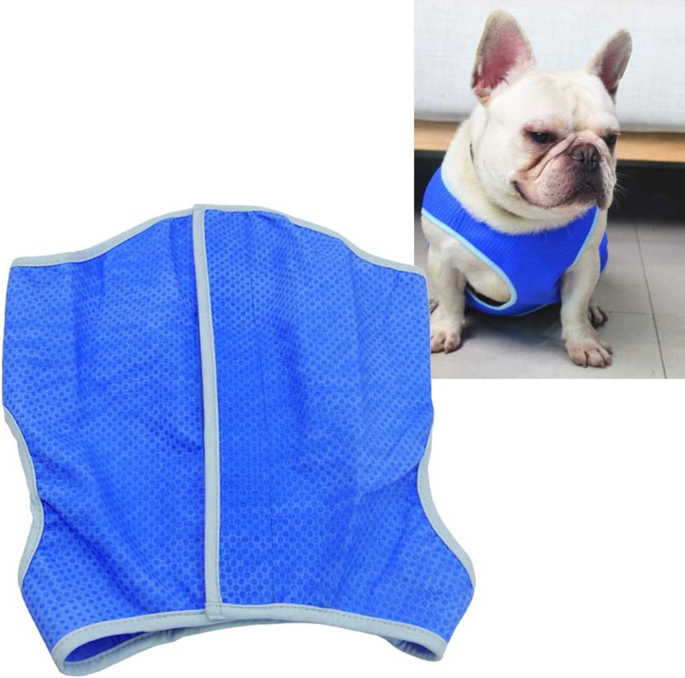 TEHAUX Dog Shirt, Dog Cooling Vest Adjustable Pet Cooling Coat Breathable Dog Cooling Vest Harness Dog Summer Jacket for Dogs (Blue, Size M) Animals & Pet Supplies > Pet Supplies > Dog Supplies > Dog Apparel TEHAUX   