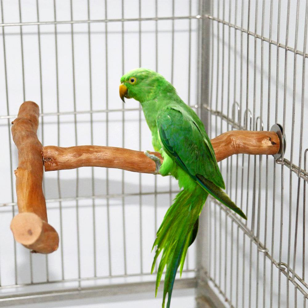 Catinbow Bird Play Standbird Perches for Parrots Multi-Branch Birds Play Training Stand Natural Wood Perch Parakeet Toys for Bird Cage Accessories Very Well Animals & Pet Supplies > Pet Supplies > Bird Supplies > Bird Cage Accessories Catinbow   