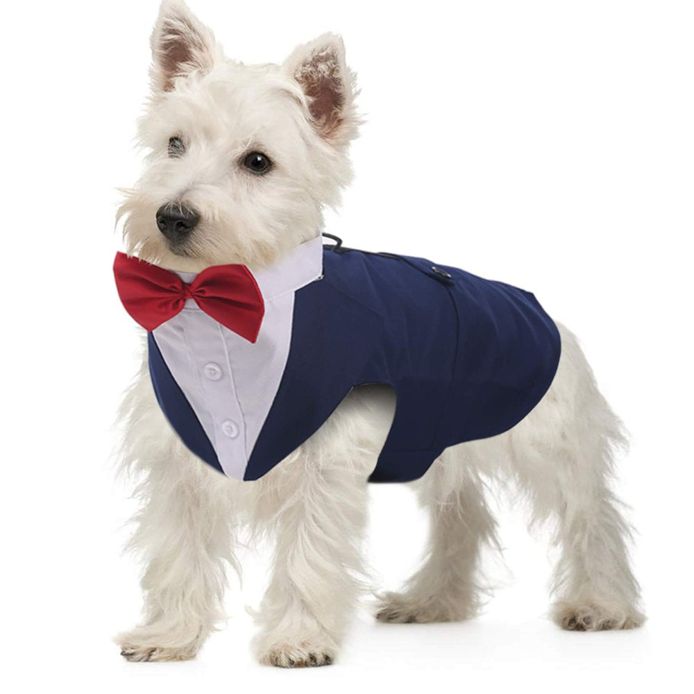 QBLEEV Dog Formal Tuxedo Suit for Medium Large Dogs，For Costume Wedding Party Outfit with Detachable Collar，Elegant Dog Apparel Bowtie Shirt and Bandana Set for Dress-Up Cosplay Holiday Wear Animals & Pet Supplies > Pet Supplies > Dog Supplies > Dog Apparel QBLEEV S Blue 