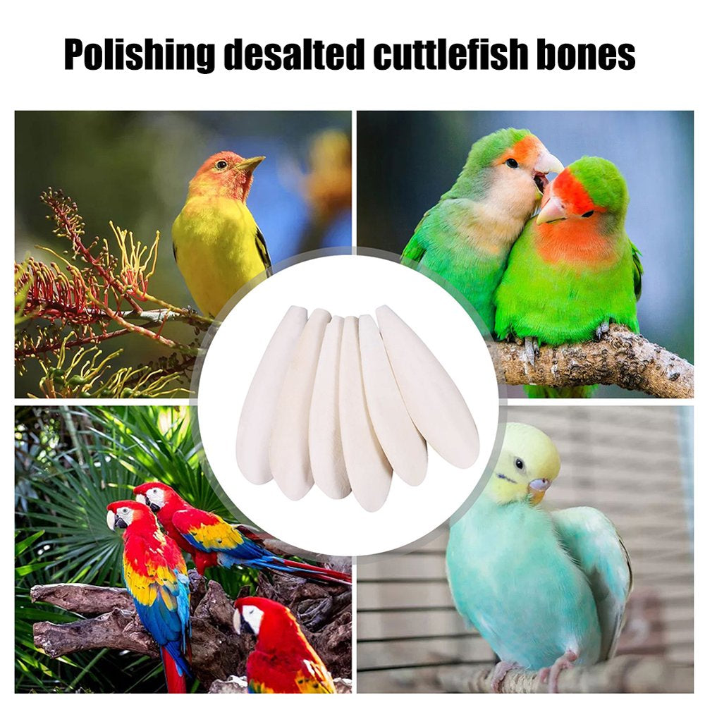 Daciye 1PC Cuttlefish Bone Parrot Chewing Toy Bird Parrot Grinding Birds Beak and Calcium Supplement Bird Cage Accessories Parakeet Toys (1PC 9-12Cm) Animals & Pet Supplies > Pet Supplies > Bird Supplies > Bird Cage Accessories Daciye   