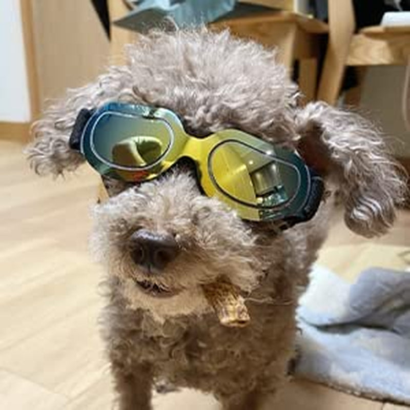 PEDOMUS Dog Sunglasses Small Dog Goggles Doggles Dog Glasses for Small Dogs Adjustable Band Blue Animals & Pet Supplies > Pet Supplies > Dog Supplies > Dog Apparel PEDOMUS Yellow  