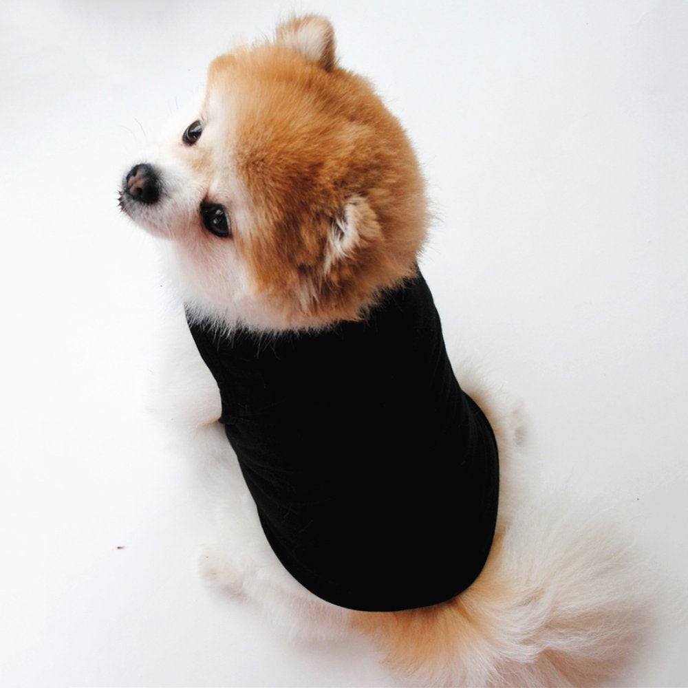 Shulemin Puppy Poodle Summer Solid Color Vest Shirt Clothes Apparel Pet Dog Chihuahua,White Animals & Pet Supplies > Pet Supplies > Dog Supplies > Dog Apparel Shulemin   