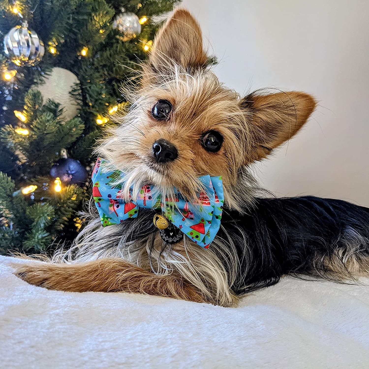 H&K Bow Tie for Pets | X-Mas Tree (Large) | Christmas Holiday Velcro Bow Tie Collar Attachment | Fun Bow Ties for Dogs & Cats | Cute, Comfortable, and Durable | Huxley & Kent Bow Tie Animals & Pet Supplies > Pet Supplies > Dog Supplies > Dog Apparel Huxley & Kent   