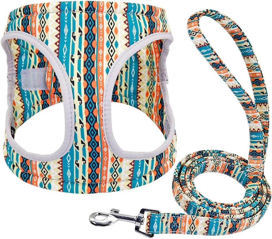 SXNBH Reflective Dog Harness Soft Mesh Pet Puppy Harness Leash Set Fashion Printed Small Medium Dogs Vest Harnesses French Bulldog ( Color : E , Size : Small ) Animals & Pet Supplies > Pet Supplies > Dog Supplies > Dog Apparel chuju Black L 