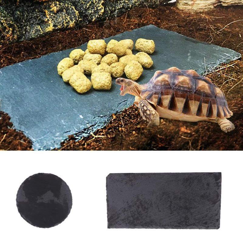 Turtle Tortoise Dish for Reptile Amphibians Food Bowl Natural Rock Plate Fit Snake, Horned Frogs, Bullfrogs, Rainforest Skinks, Animals & Pet Supplies > Pet Supplies > Reptile & Amphibian Supplies > Reptile & Amphibian Food Magideal   