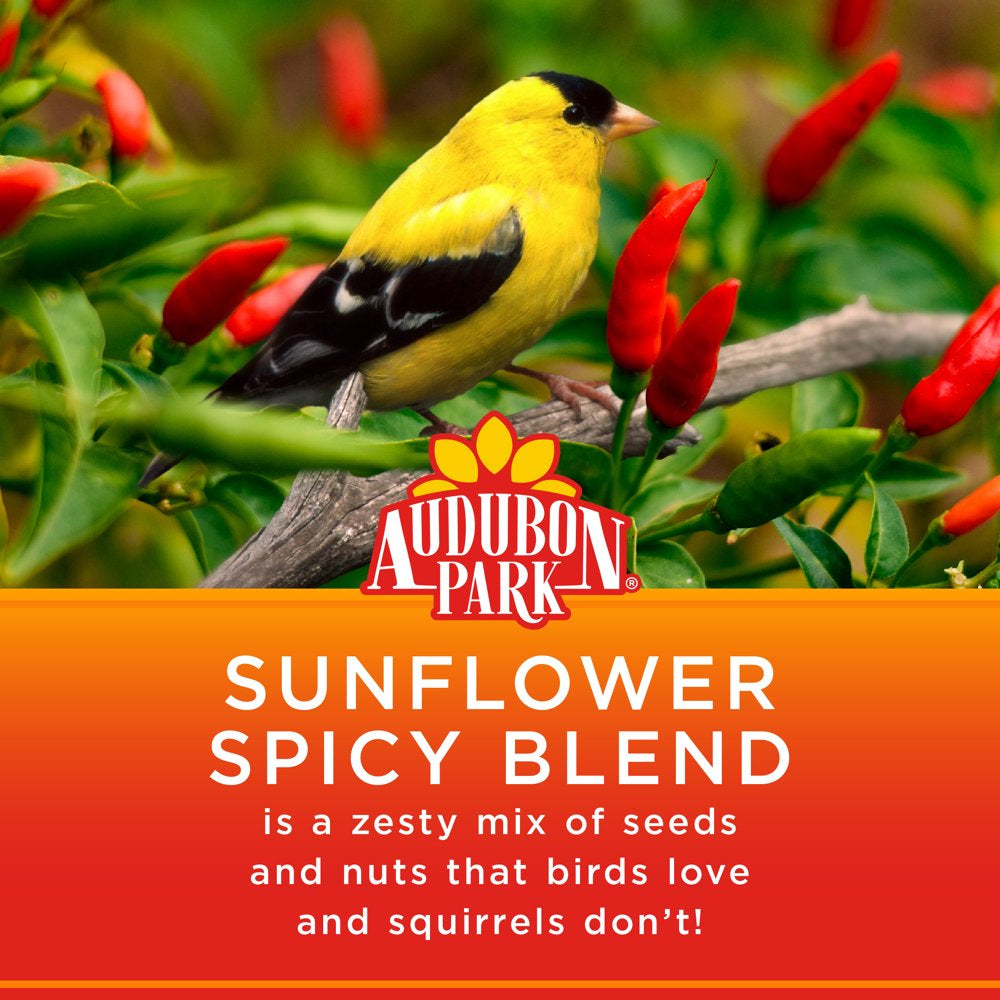 Audubon Park Sunflower Spicy Blend Wild Bird Food, New, 5 Lb. Bag Animals & Pet Supplies > Pet Supplies > Bird Supplies > Bird Food Global Harvest Foods, Ltd.   