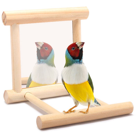Toorise Bird Mirror Wooden Bird Swing Parrot Cage Toys Swing Hanging Play with Mirror Parrot Perch Stand Interactive Fun Play Toy for Birds African Greys Parakeet Cockatoo Cockatiel Lovebirds Animals & Pet Supplies > Pet Supplies > Bird Supplies > Bird Toys Toorise   