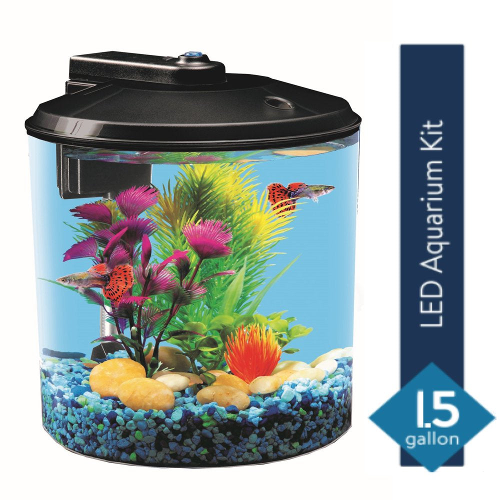 Aqua Culture 1.5-Gallon Aquarium Starter Kit Plastic, LED Lighting and Power Filter Animals & Pet Supplies > Pet Supplies > Fish Supplies > Aquarium Lighting Wal-Mart Stores, Inc.   