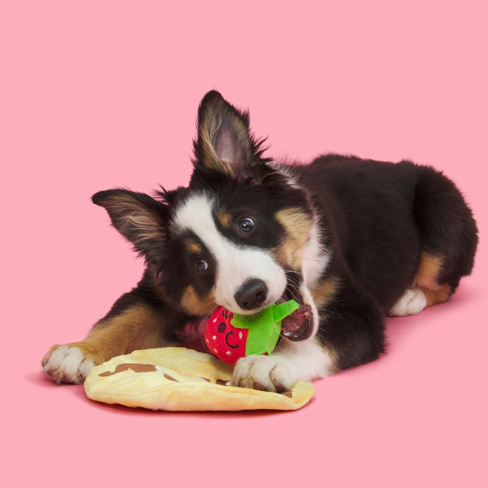 BARK Wake N Crepe Dog Toy, Multi-Color - Barkfest in Bed Animals & Pet Supplies > Pet Supplies > Dog Supplies > Dog Toys BARK   