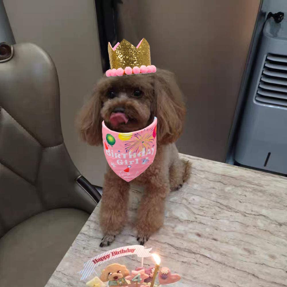 ADOGGYGO Dog Birthday Bandana Hat Set Dog Puppy Birthday Party Supply Dog Bandana Boy Girl Puppy Birthday Hat Scarf for Small Medium Dog Pet (Pink Scarf & Crown) Animals & Pet Supplies > Pet Supplies > Dog Supplies > Dog Apparel ADOGGYGO   