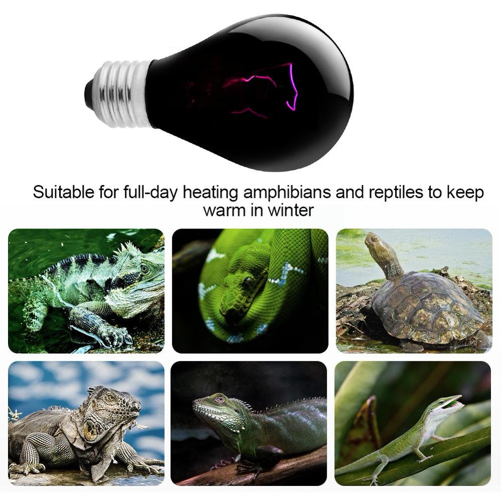 Cergrey 5 Types 220-230V Night Heat Light Lamp Heating Bulb for Reptile Pet Amphibian Animals & Pet Supplies > Pet Supplies > Reptile & Amphibian Supplies > Reptile & Amphibian Habitat Heating & Lighting Cergrey   