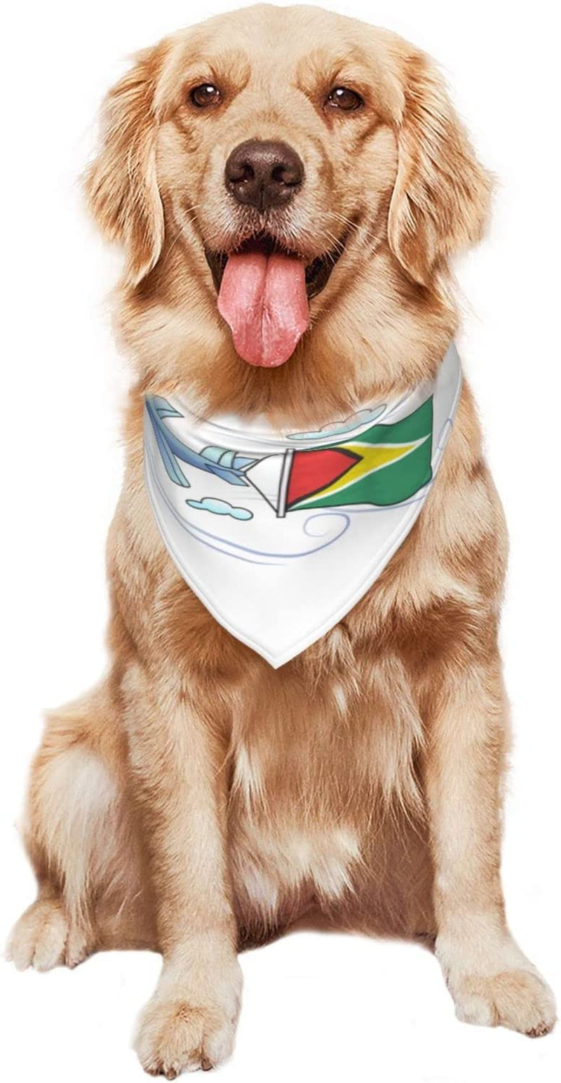 Airplane with Flag Gunaya Pet Dog and Cat Decorative Triangle Scarf,Dog Bandana,Breathable and Stain Resistant. Animals & Pet Supplies > Pet Supplies > Dog Supplies > Dog Apparel ZALTAS   