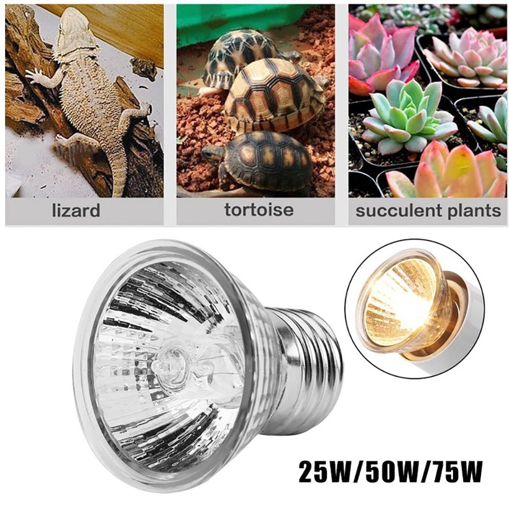 Limei Bulb for Bearded Dragon, 75W UVA Reptile Heat Lamp Soft White Light Glass Bulb Turtle Light Infrared Light Basking Heat Lamps Outdoor for Pet/Amphibian/Lizard (E27,110V) Animals & Pet Supplies > Pet Supplies > Reptile & Amphibian Supplies > Reptile & Amphibian Habitat Heating & Lighting LIMEI   