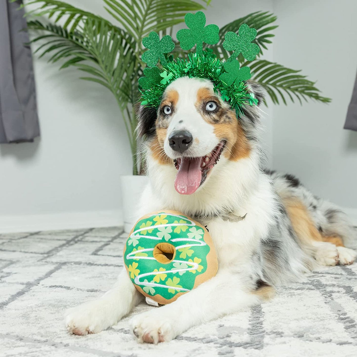 Huxley & Kent St. Patrick'S Day Dog Bundle | Large | Shamrock Donut & Irish Suds Bow Tie | Dog Toy and Collar Attachment Holiday Bundle Animals & Pet Supplies > Pet Supplies > Dog Supplies > Dog Apparel Huxley & Kent   