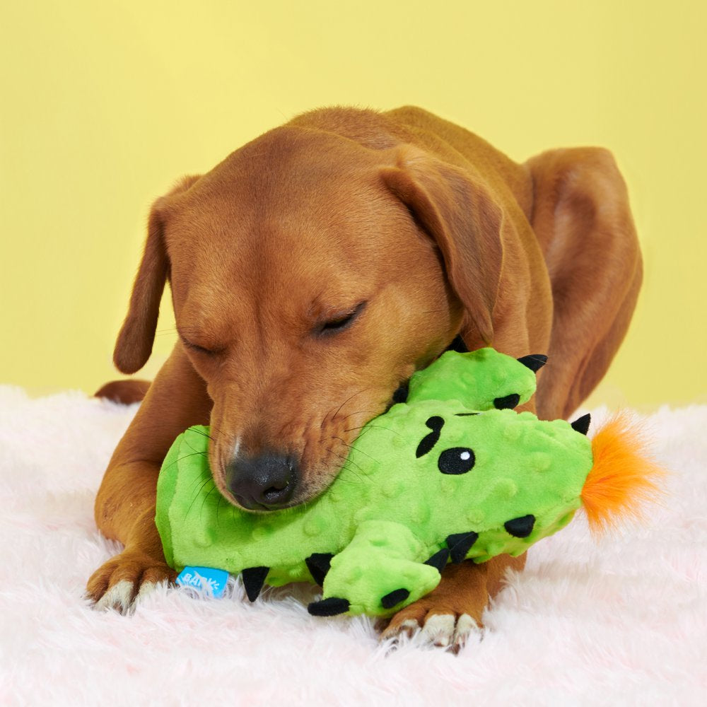 BARK Prickly Pete Dog Toy - Features Surprise Squeaker Toy, Xs to Small Dogs Animals & Pet Supplies > Pet Supplies > Dog Supplies > Dog Toys BARK   