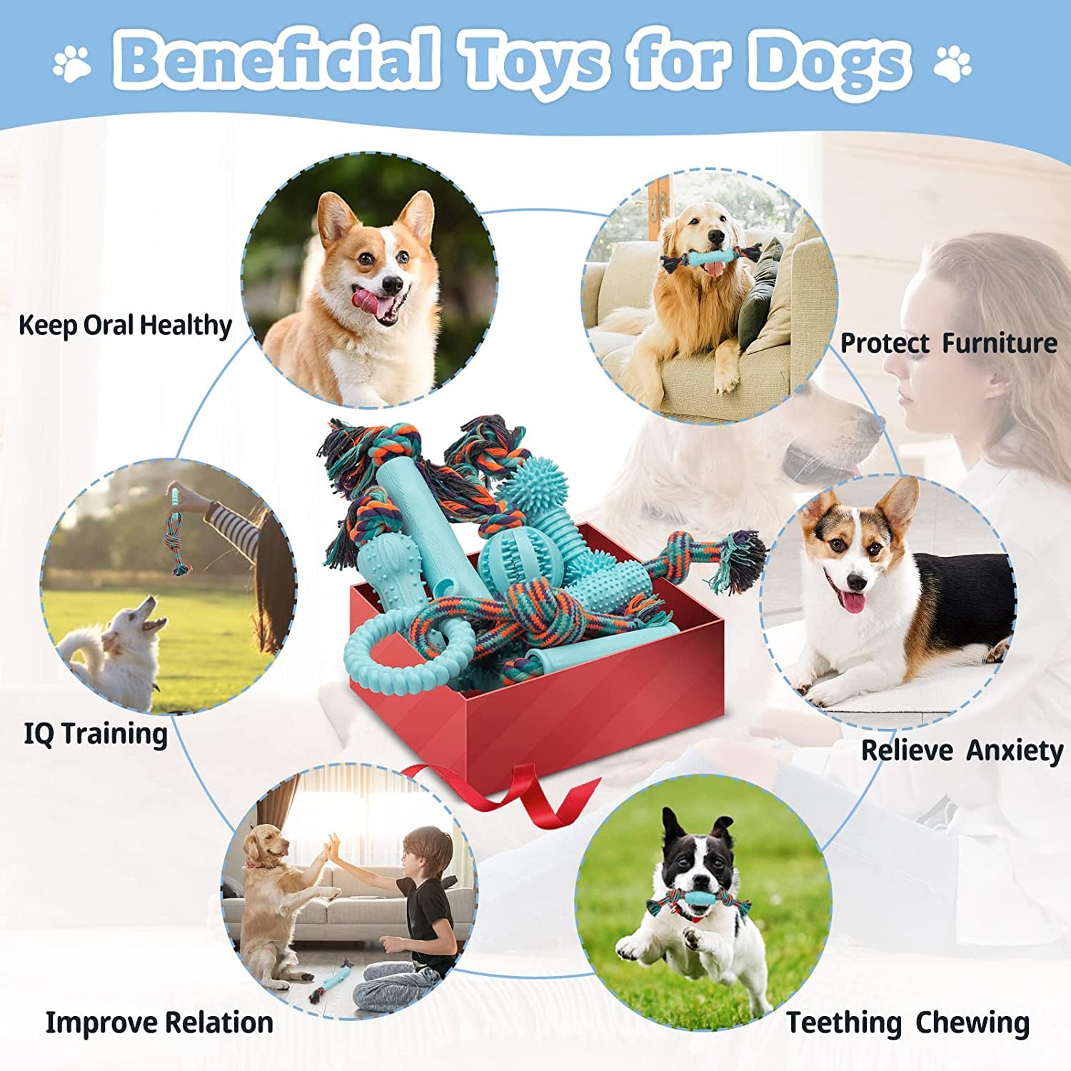 Pet Supplies : Dog Rope Toy for Puppy Teething, Indestructible Dog