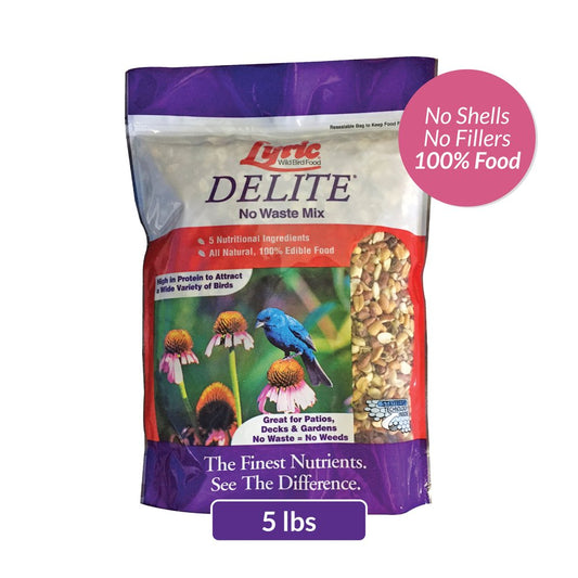 Lyric Delite Wild Bird Seed, No Waste Bird Food Mix with Shell-Free Nuts and Seeds, 5 Lb. Bag Animals & Pet Supplies > Pet Supplies > Bird Supplies > Bird Food Lebanon Seaboard Corporation 5 lbs  