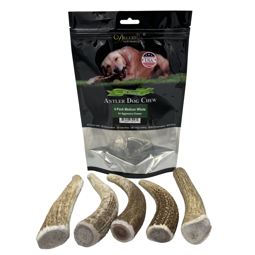 Deluxe Naturals Elk Antler Dog Chew 6-Pack, Medium Split Antlers Animals & Pet Supplies > Pet Supplies > Dog Supplies > Dog Toys Deluxe Naturals Whole M 5